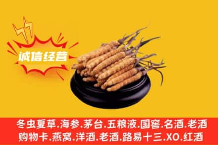 玉树市曲麻莱县回收冬虫夏草